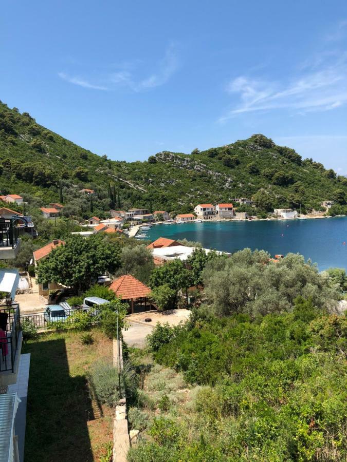 Villa Evita Apartments Prožura Dış mekan fotoğraf